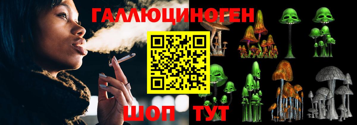 Псилоцибиновые грибы MAGIC MUSHROOMS  Псилоцибиновые грибы Psilocybine cubensis  Рассказово  Вход с VPN 
